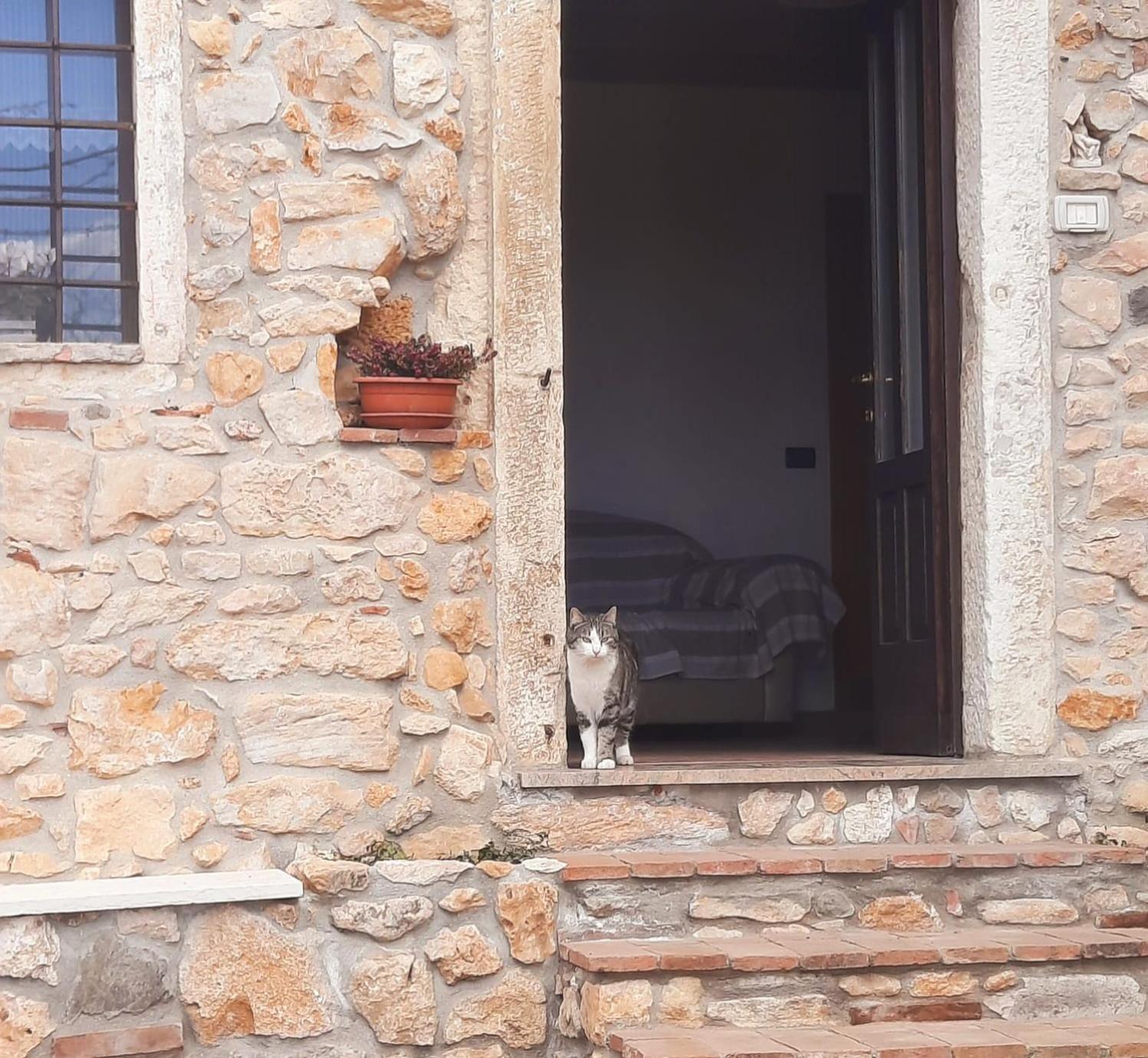 Al Colle Rooms Montebello Vicentino Zewnętrze zdjęcie