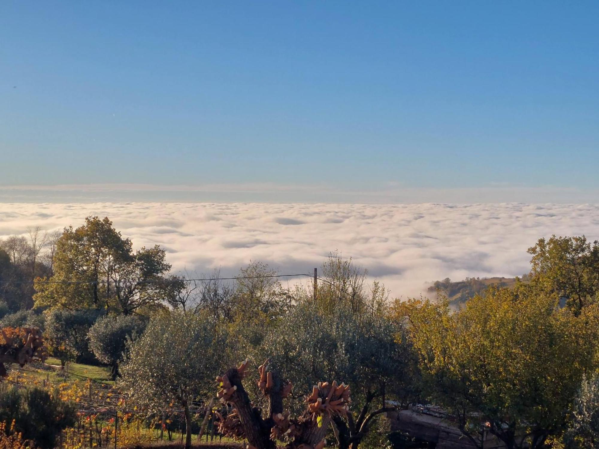 Al Colle Rooms Montebello Vicentino Zewnętrze zdjęcie