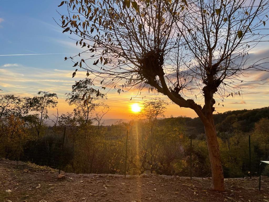 Al Colle Rooms Montebello Vicentino Zewnętrze zdjęcie